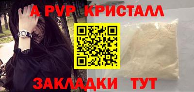 спиды Будённовск
