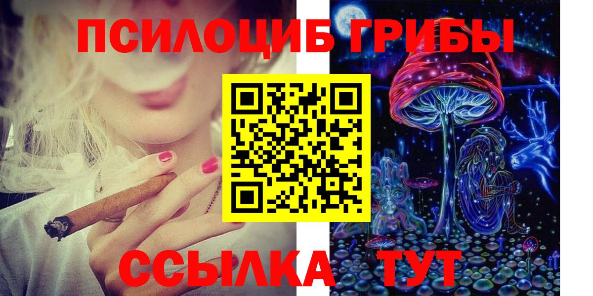 Псилоцибиновые грибы MAGIC MUSHROOMS Ртищево